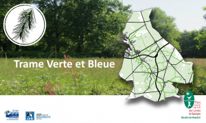 Trames-Vertes-et-Bleues_articleimage.png