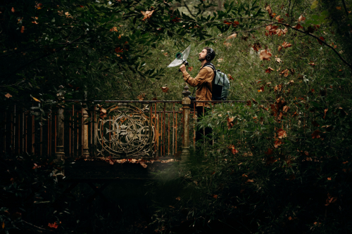 NatureSonore-PaulVernhères-MélanieTorök_StudioLampyris.jpg