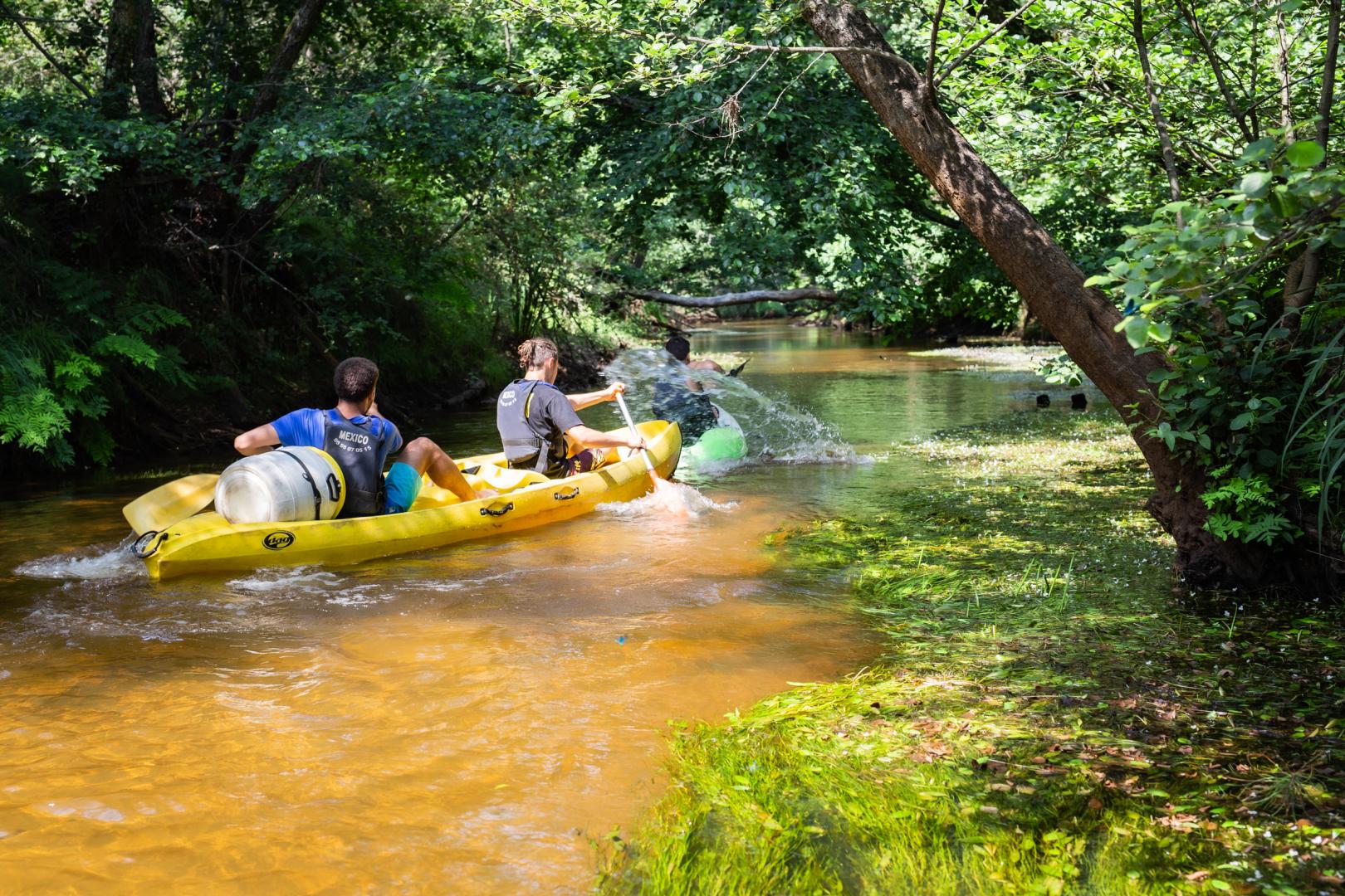 Ecotourisme_88_Nicolas_GORNAS_PNRLG.jpg