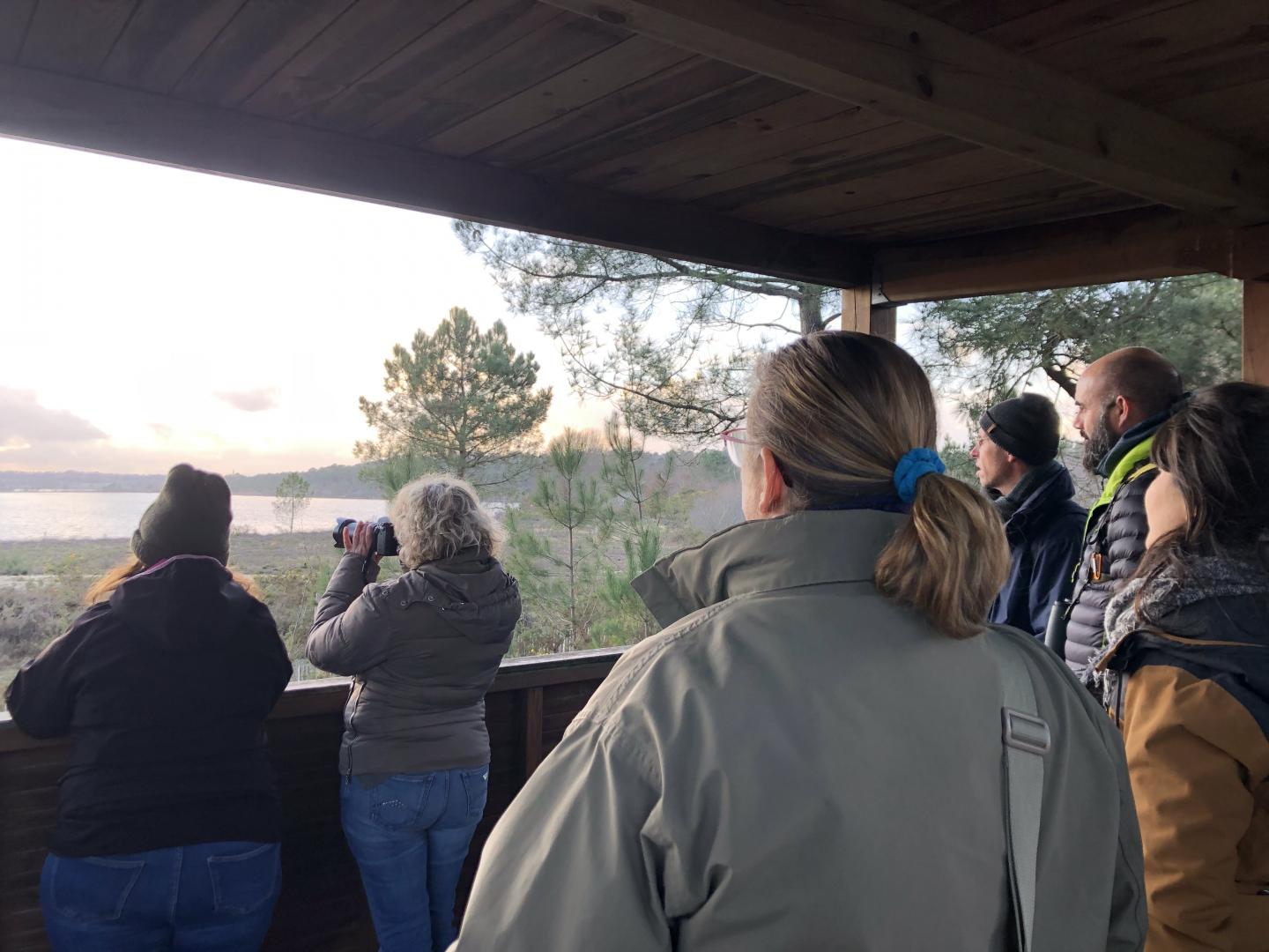 ObservationGrues.JPG
