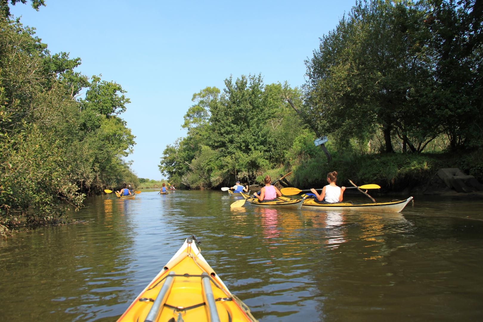 kayak de mer delta .JPG