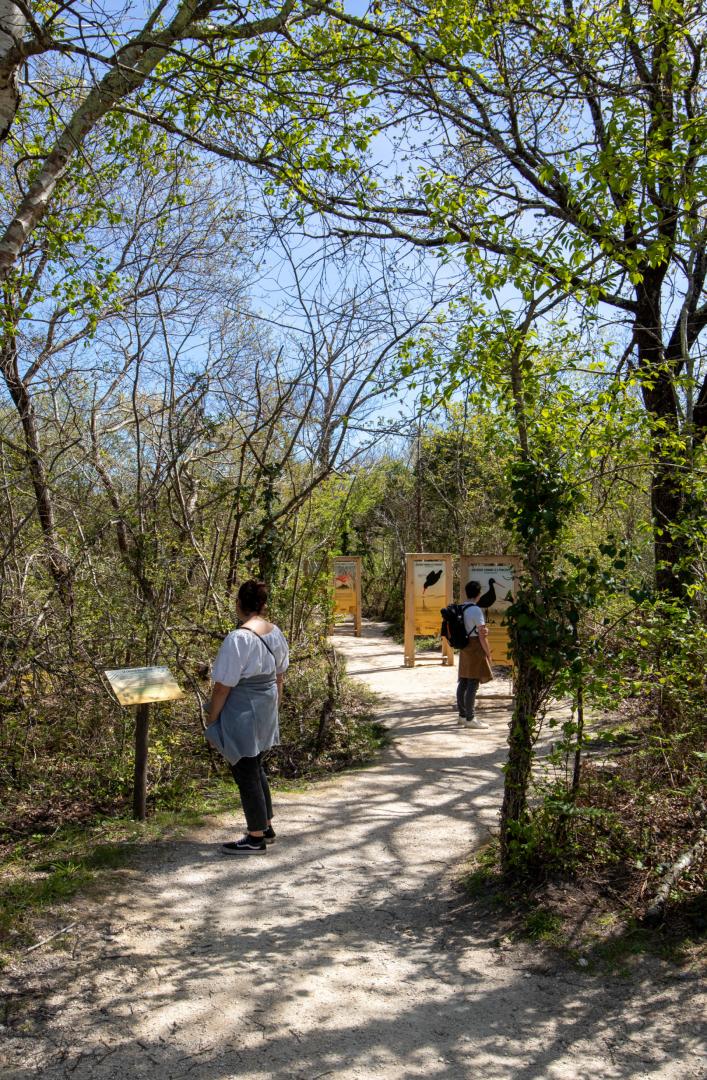 ROT_sentier_de_découverte_38_Marion_DAL_BELLO_PNRLG.jpg