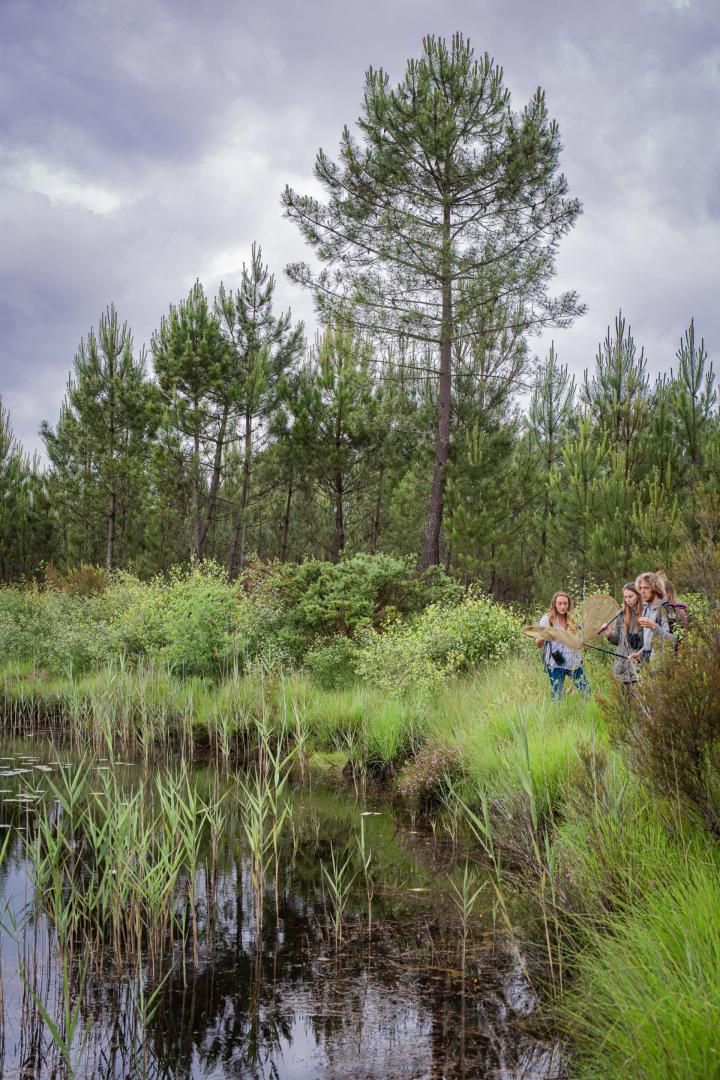 Ecotourisme_11_Nicolas_GORNAS_PNRLG.jpg